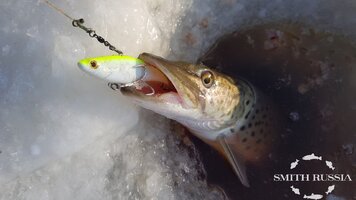 2020-12-26 12-01-56.JPG