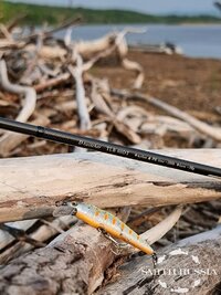 Изображение WhatsApp 2025-06-02 в 16.40.38_1e3639a2.jpg