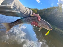 I5gCjMp18495dczVNCveRzWSv-JD4tb4A7oFZPe5s9W4hHukMMANz-3zDDL92-ymVAgudvTMOrN49b751AlF5-Pv (1).jpg