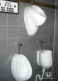 Для наездников.jpg