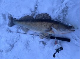 XuNbEubYJpVBTk41jaVyEJOf51ZkznN7-Avd02byumIWBc6X1a0_UkyfJ0Y70Aosb6YuQzp_SYj9nsuzkIFYko_G — копия.jpg