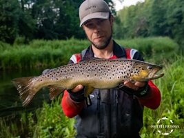 sps-25-1-1.jpg sps-25-1-1.jpg