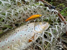 sps-25-1-2.jpg sps-25-1-2.jpg