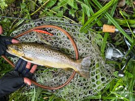 sps-25-1-6.jpg sps-25-1-6.jpg