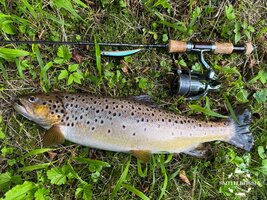 sps-25-2-4.jpg sps-25-2-4.jpg