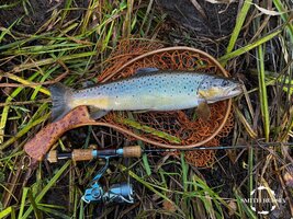 sps-25-2-6.jpg sps-25-2-6.jpg