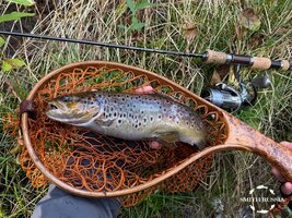 sps-25-2-8.jpg sps-25-2-8.jpg