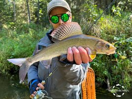 sps-25-2-9.jpg sps-25-2-9.jpg