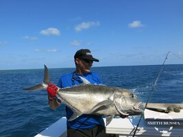 IMG_9462.JPG IMG_9462.JPG