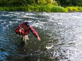 IMG_8707.JPG IMG_8707.JPG