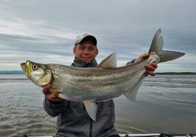 Изображение WhatsApp 2025-06-02 в 16.15.29_443924bc.jpg