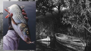 BOrNauPTyTupve5tZVgd36xVXoulhJTyg7TRleCKrIi6qoJrqZNb-CkDeRrvEgB8rNpfrFk0Os4SOZnT4krmNW5v.jpg BOrNauPTyTupve5tZVgd36xVXoulhJTyg7TRleCKrIi6qoJrqZNb-CkDeRrvEgB8rNpfrFk0Os4SOZnT4krmNW5v.jpg