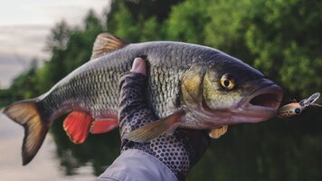 LDrt0X6SgUxCvuWVy1k_2LkiCBos_ekwwwn8M6CR8AXG_xjtNNwhe1MsT1_1NMe5htCRl5VTwnA5KV35-clqT9gi.jpg LDrt0X6SgUxCvuWVy1k_2LkiCBos_ekwwwn8M6CR8AXG_xjtNNwhe1MsT1_1NMe5htCRl5VTwnA5KV35-clqT9gi.jpg