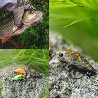 X9pt0OPdl7OFoUi_pVdynqYVTyRXnoWOr-TawvZdQrkQPapar5uR7WTTfD9PFmLFjlpnJkmZOezqnao8J7LxQWtD.jpg X9pt0OPdl7OFoUi_pVdynqYVTyRXnoWOr-TawvZdQrkQPapar5uR7WTTfD9PFmLFjlpnJkmZOezqnao8J7LxQWtD.jpg