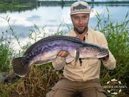 p3YLdg0qA-Zlwz6iPg4QbFvI-vFCjc2qVUJA_5gdFt1LitncBN3gn38TPqOiFJhVIuWQ1MJ9z0w9UFlPuVqvBPYv.jpg p3YLdg0qA-Zlwz6iPg4QbFvI-vFCjc2qVUJA_5gdFt1LitncBN3gn38TPqOiFJhVIuWQ1MJ9z0w9UFlPuVqvBPYv.jpg