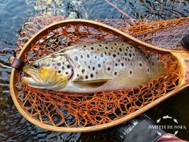 rrL9Xhm9ityRM9OYtfpiPHptNUbiuB6fhbOkyy_Zr1gRcsXYLLrlga9SRvvDXtapRd9bKhzh35fOu4ciIcbR29Wl.jpg rrL9Xhm9ityRM9OYtfpiPHptNUbiuB6fhbOkyy_Zr1gRcsXYLLrlga9SRvvDXtapRd9bKhzh35fOu4ciIcbR29Wl.jpg