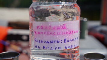 DSC00381_новый размер.JPG