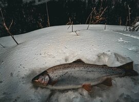 AiN_Qm4IGCocS1dm8O7BqI7DVbR6U3V-5TwM1YuOOyDtqJJQC0r_aT46DGs4SRjgloDC9JEjngYYDOp2Lf-MEMgZ.jpg AiN_Qm4IGCocS1dm8O7BqI7DVbR6U3V-5TwM1YuOOyDtqJJQC0r_aT46DGs4SRjgloDC9JEjngYYDOp2Lf-MEMgZ.jpg