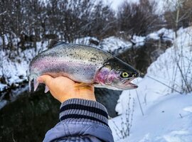 z-HEM6q3OsseefIRAspQ1yTG_u3_v7cRdrkqVuHHfYkyFyHAmgWOLnILm3hUS5Iw-TrtYhxn32qiX-tubFo9s448.jpg z-HEM6q3OsseefIRAspQ1yTG_u3_v7cRdrkqVuHHfYkyFyHAmgWOLnILm3hUS5Iw-TrtYhxn32qiX-tubFo9s448.jpg