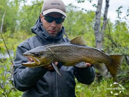 ksp-25-1-1.jpg ksp-25-1-1.jpg