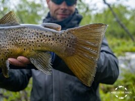 ksp-25-1-3.jpg ksp-25-1-3.jpg