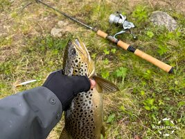 ksp-25-1-5.jpg ksp-25-1-5.jpg