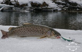 DSC01406 — копия.jpg