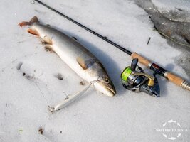 для 3 части 2.jpg