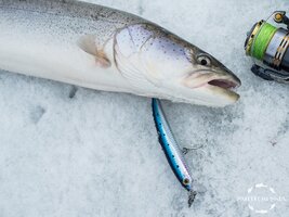 для 2 части 3.jpg