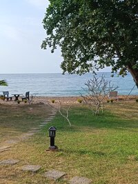 IMG_20260217_081146.jpg