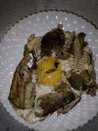 IMG_20260217_193357.jpg