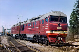 83778.jpg
