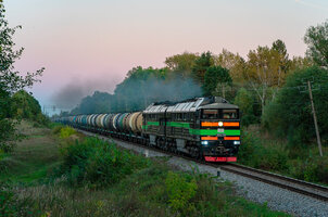 255994.jpg