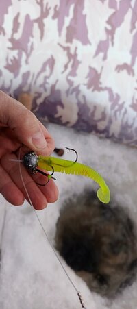 IMG_20260218_131159_671.jpg