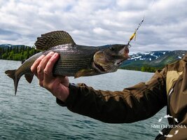 tlOCuISD7zDzVrxATidH2F9ThJv3E8TbWU1hvB6-MqFVn5IfckNaDqya0-7Pov5Gk-7aNrWuq481zTx55RmWMy7W.jpg tlOCuISD7zDzVrxATidH2F9ThJv3E8TbWU1hvB6-MqFVn5IfckNaDqya0-7Pov5Gk-7aNrWuq481zTx55RmWMy7W.jpg