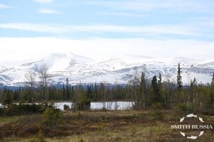 Фото 2 (2).JPG Фото 2 (2).JPG