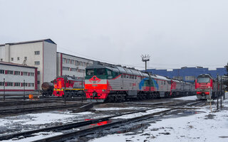 241626.jpg