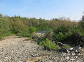 IMG_1735.JPG IMG_1735.JPG