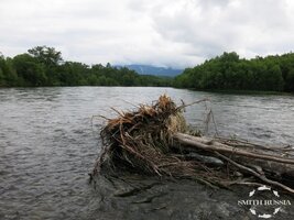 IMG_4415.JPG IMG_4415.JPG