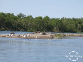 IMG_1725.JPG IMG_1725.JPG