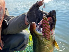 IMG_2566.JPG IMG_2566.JPG