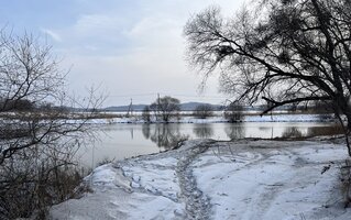 IMG_7357.jpeg