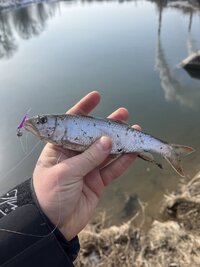 IMG_7353.jpeg