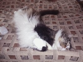 IMG_20260223_141748.jpg