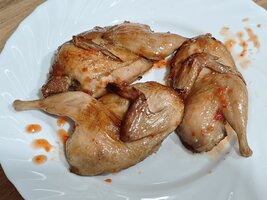 IMG_20260223_195716.jpg