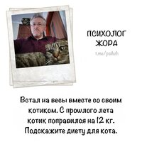Кот.jpg
