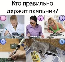 1771913442758.jpeg