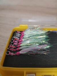 IMG_20260224_190054.jpg