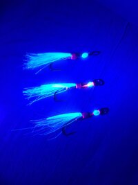 IMG_20260224_190636.jpg