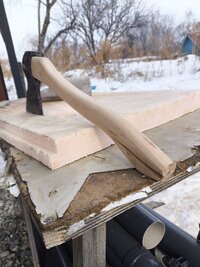 IMG_20260227_151125.jpg